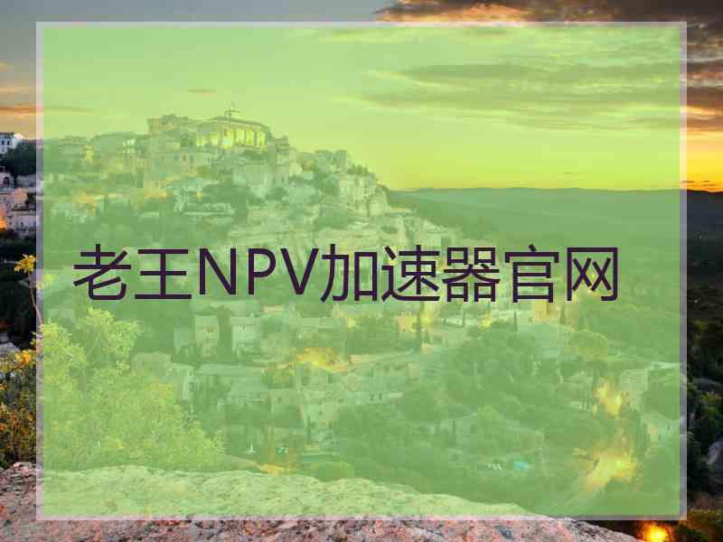 老王NPV加速器官网