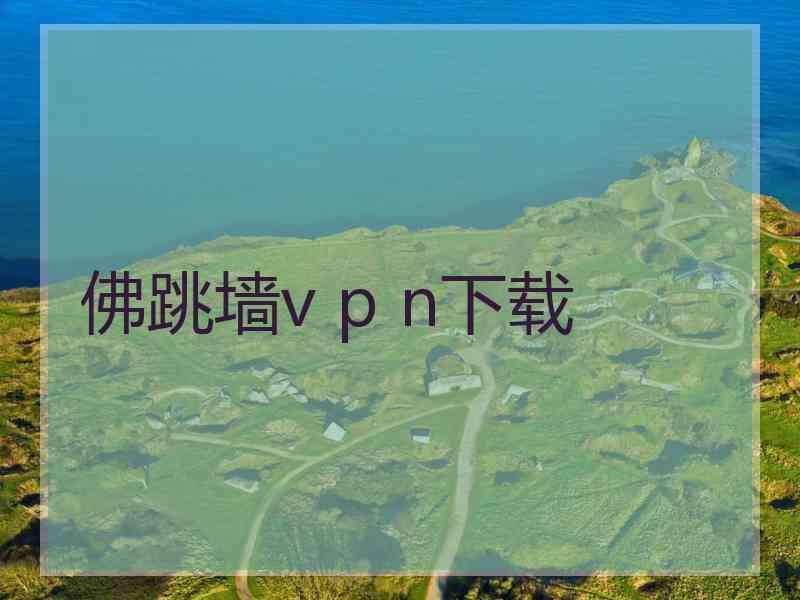 佛跳墙v p n下载