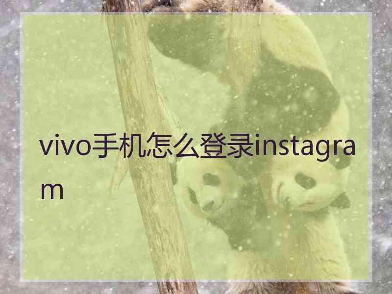 vivo手机怎么登录instagram