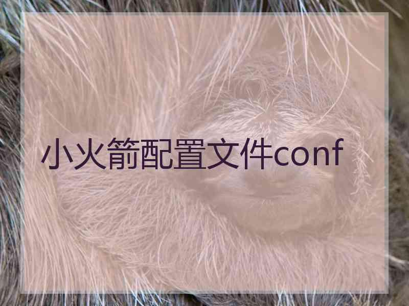 小火箭配置文件conf