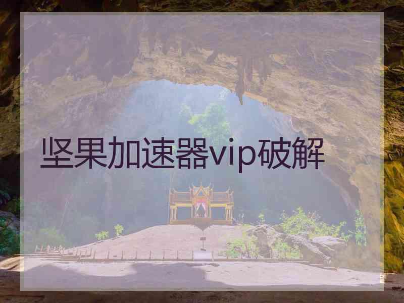 坚果加速器vip破解