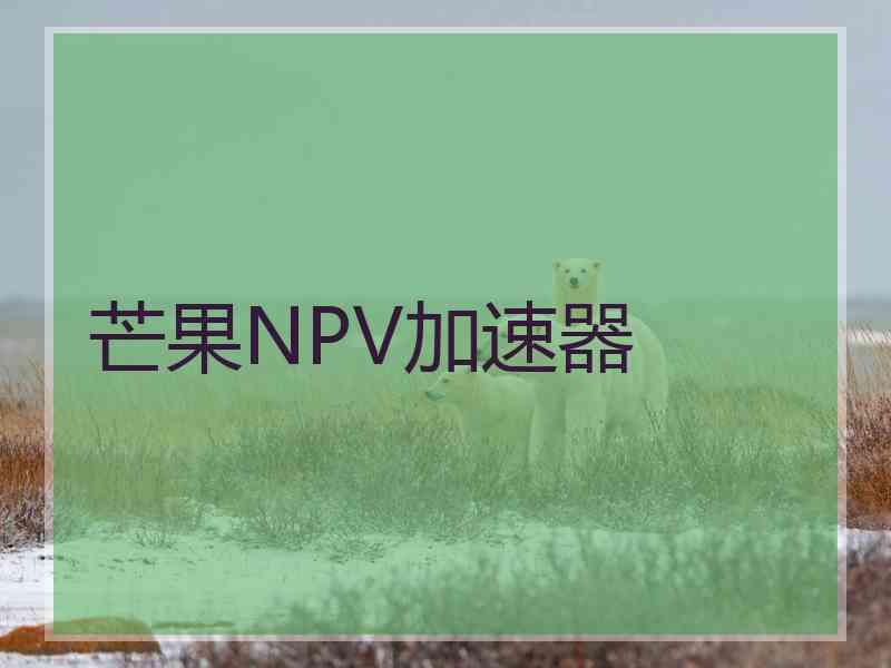 芒果NPV加速器