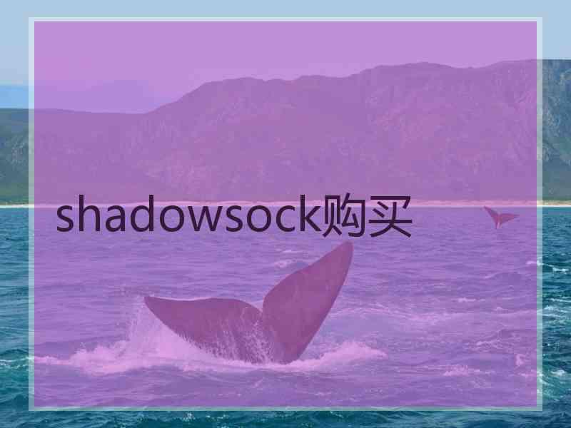 shadowsock购买