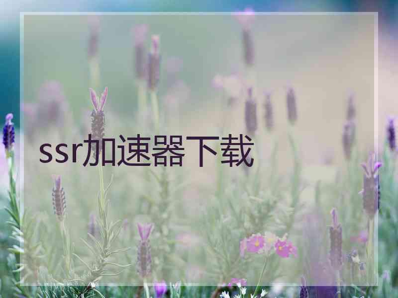 ssr加速器下载