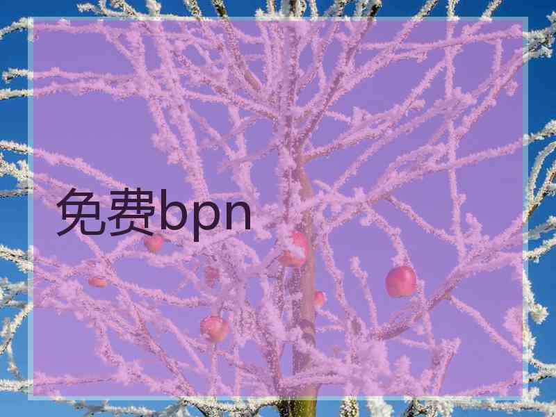 免费bpn