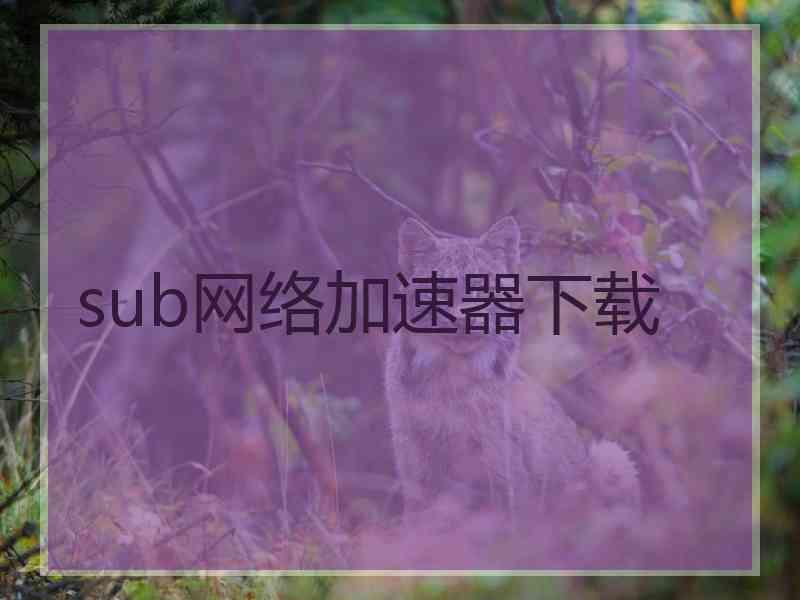 sub网络加速器下载