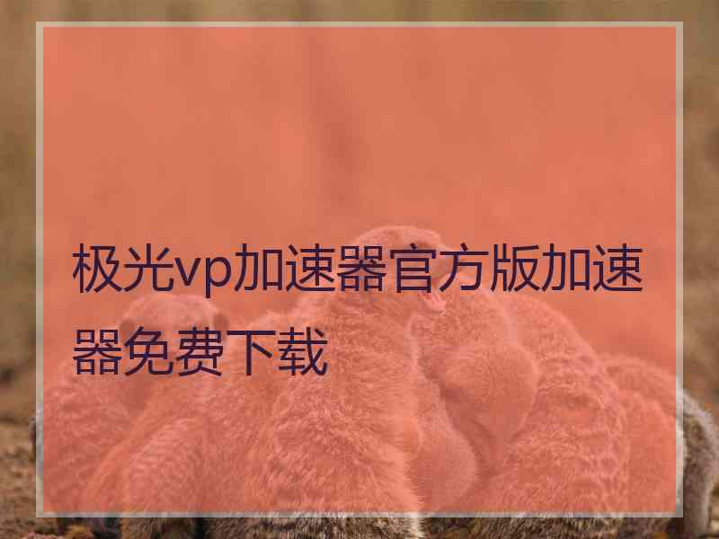 极光vp加速器官方版加速器免费下载