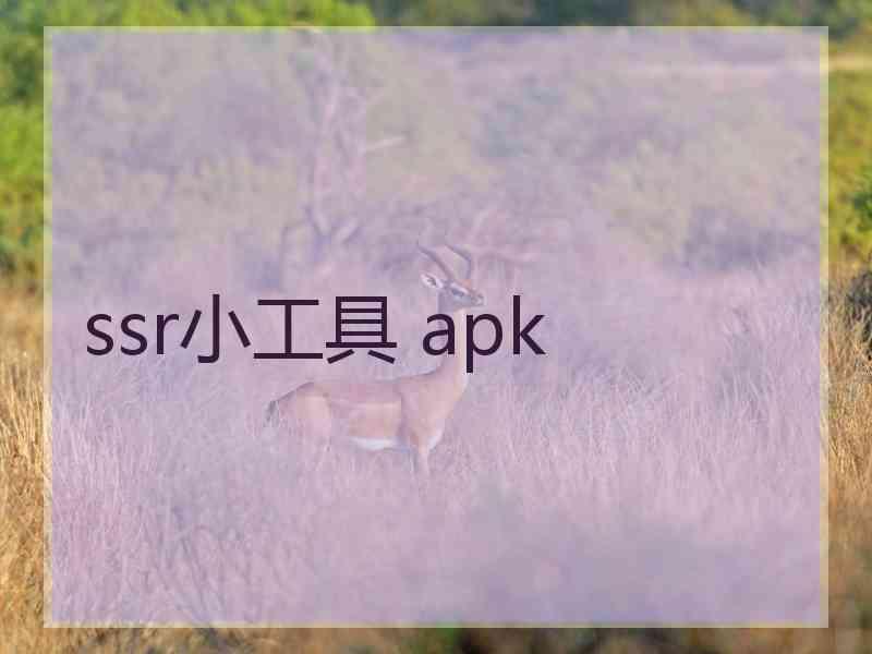 ssr小工具 apk