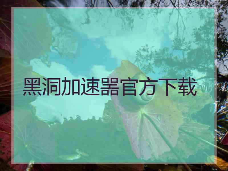 黑洞加速噐官方下载