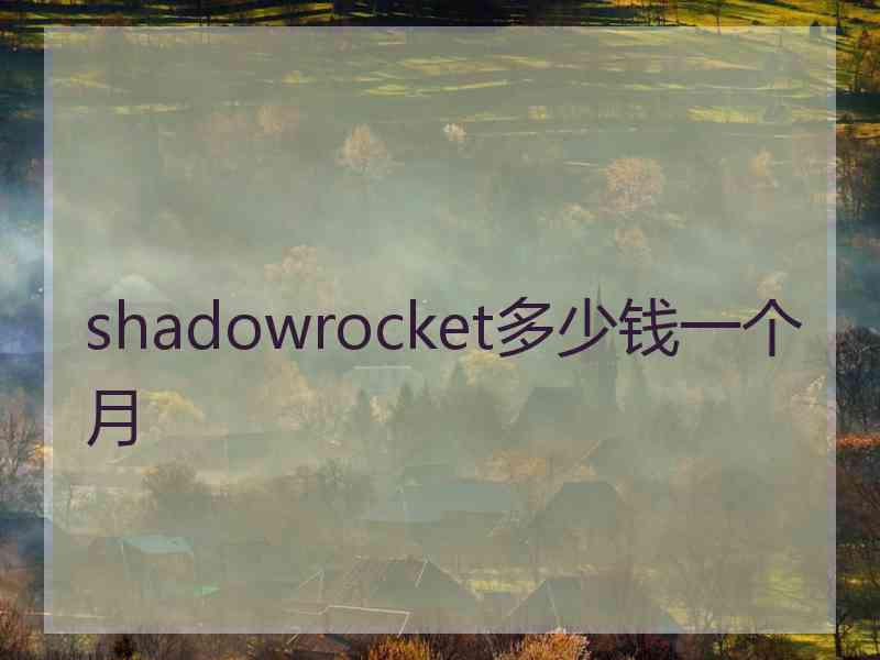 shadowrocket多少钱一个月