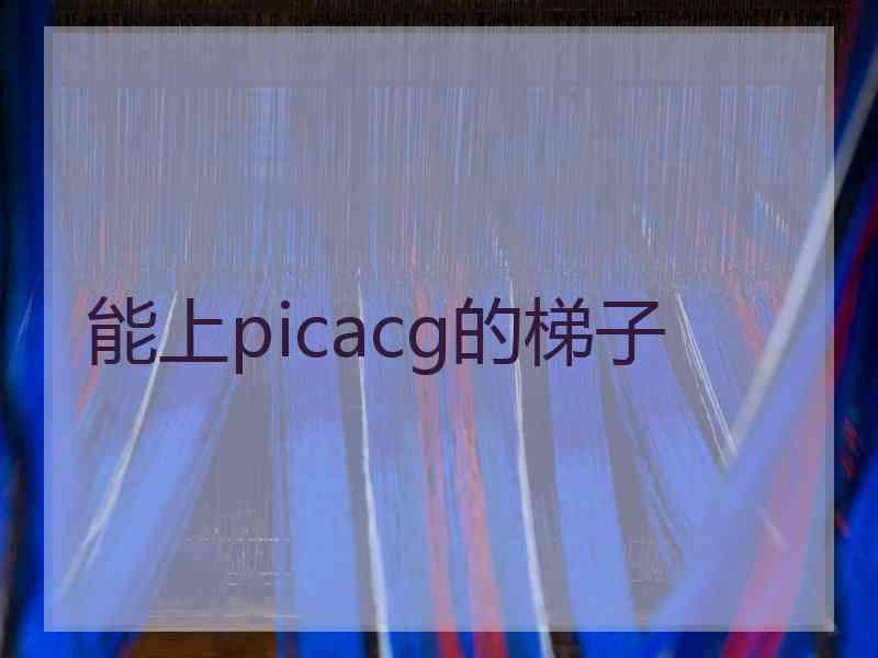 能上picacg的梯子