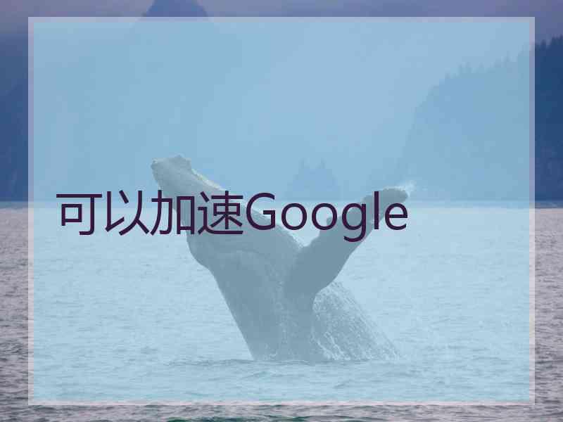 可以加速Google