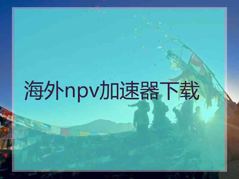 海外npv加速器下载