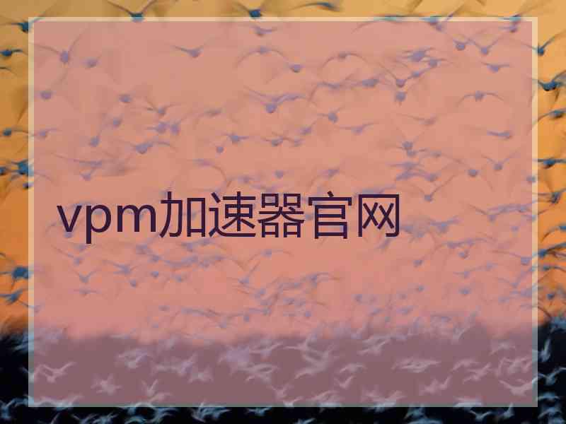 vpm加速器官网