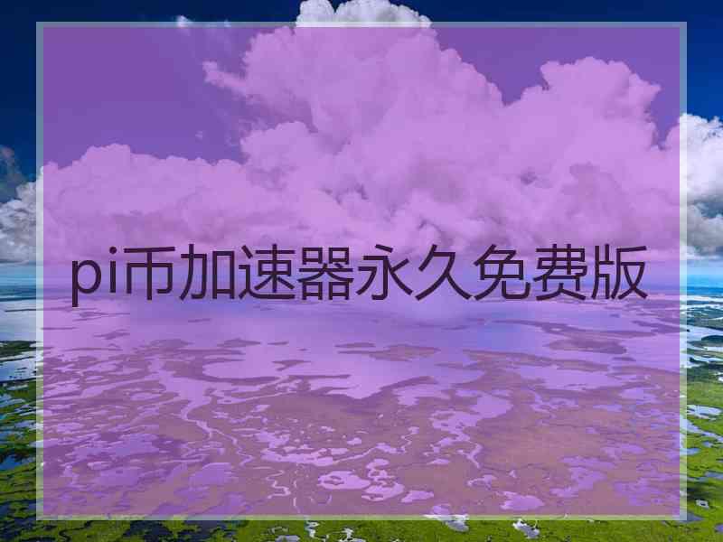 pi币加速器永久免费版