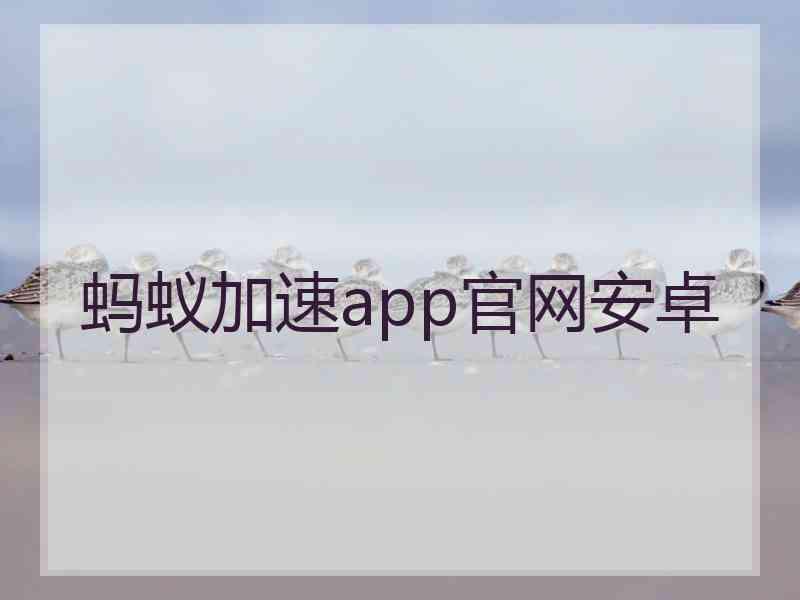 蚂蚁加速app官网安卓