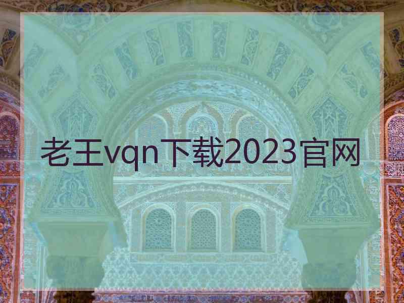 老王vqn下载2023官网