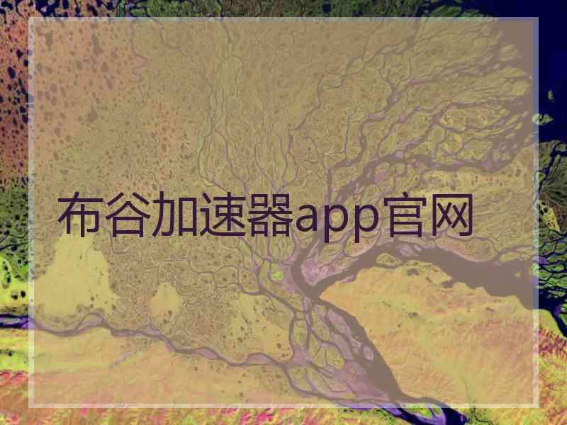 布谷加速器app官网