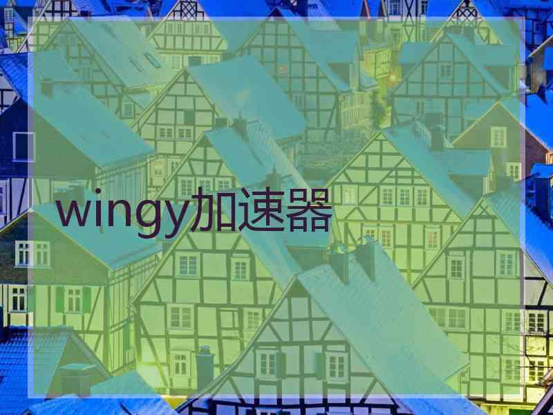 wingy加速器