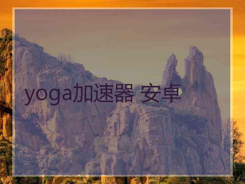 yoga加速器 安卓