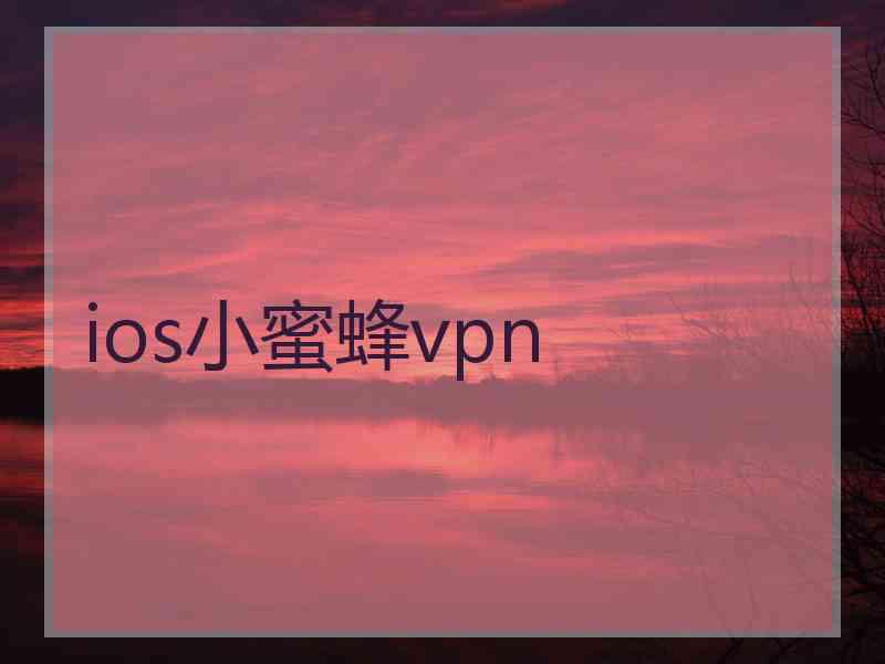 ios小蜜蜂vpn