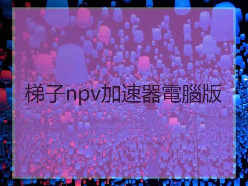 梯子npv加速器電腦版