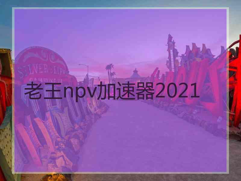 老王npv加速器2021