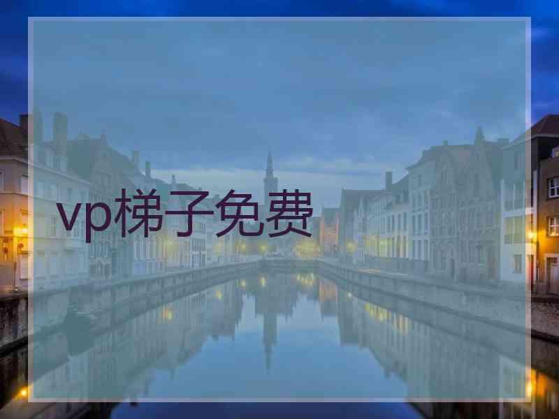 vp梯子免费