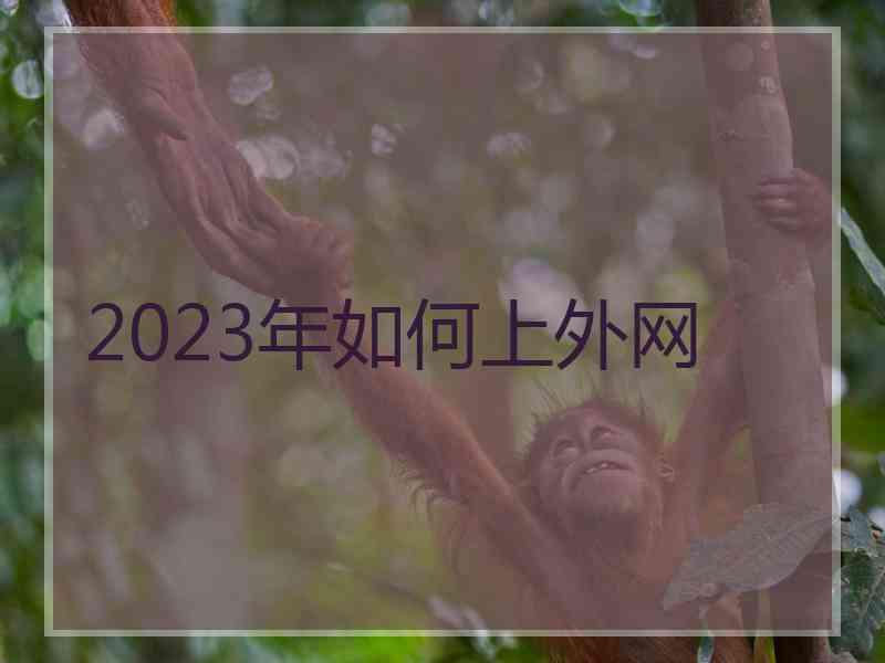 2023年如何上外网