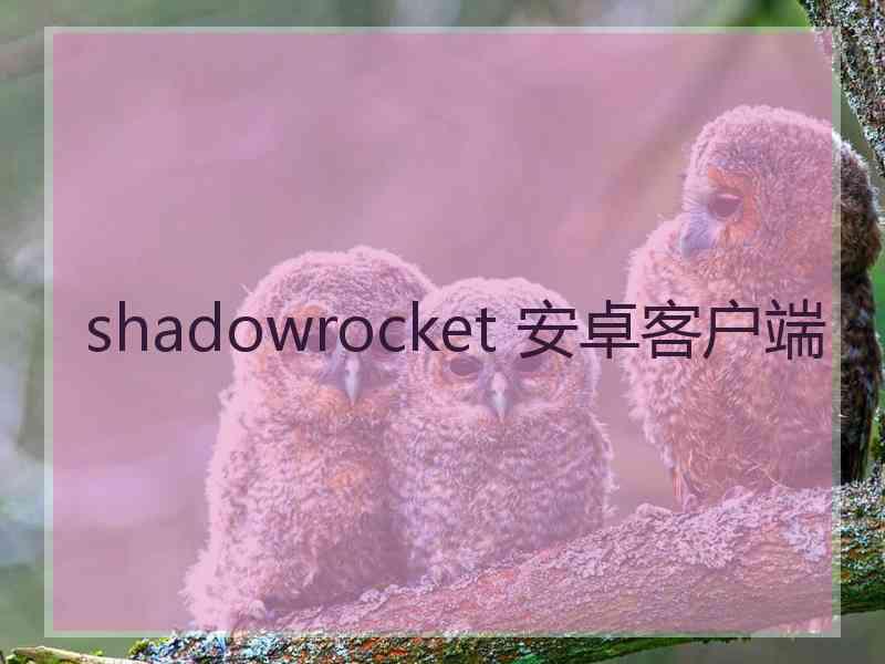 shadowrocket 安卓客户端