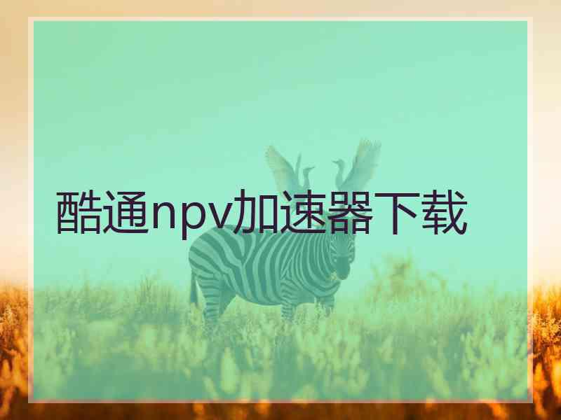 酷通npv加速器下载