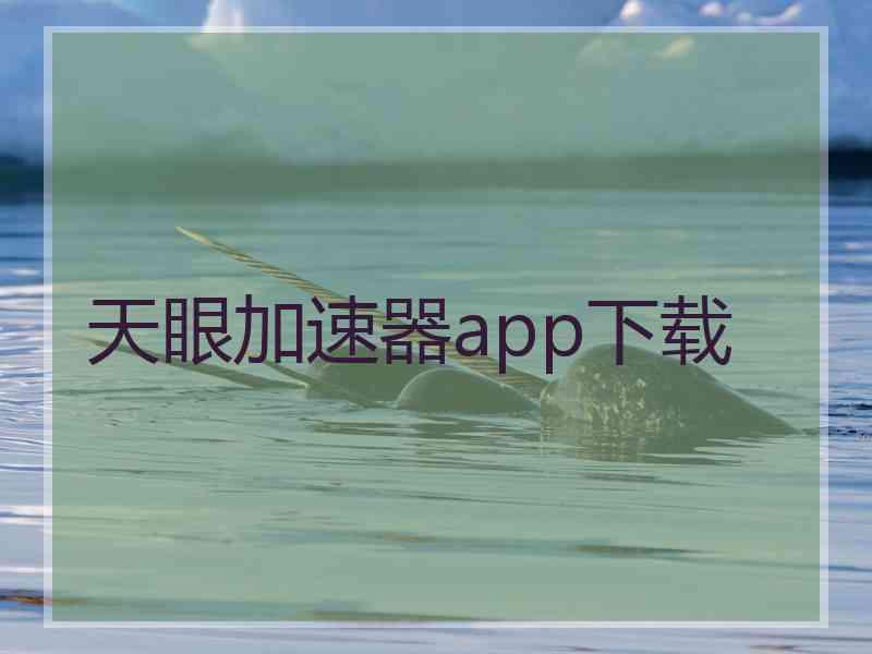 天眼加速器app下载