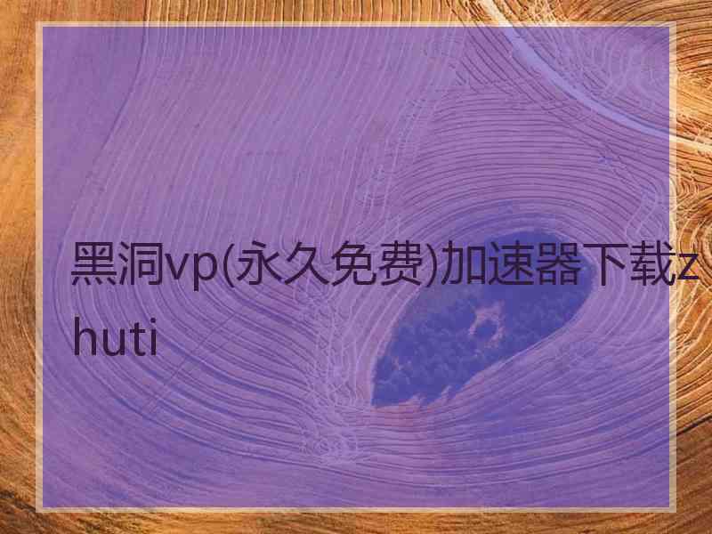 黑洞vp(永久免费)加速器下载zhuti