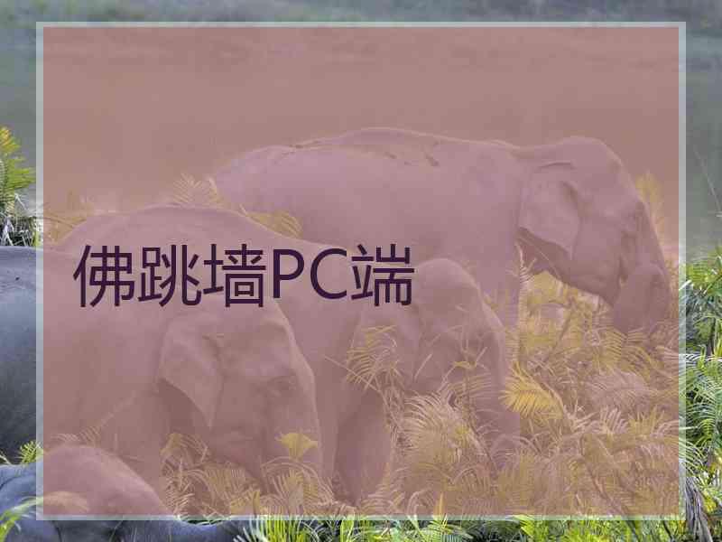 佛跳墙PC端