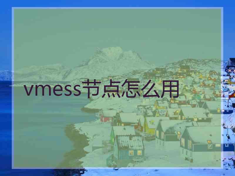 vmess节点怎么用