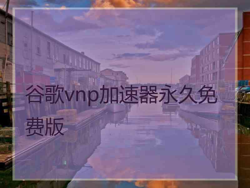 谷歌vnp加速器永久免费版