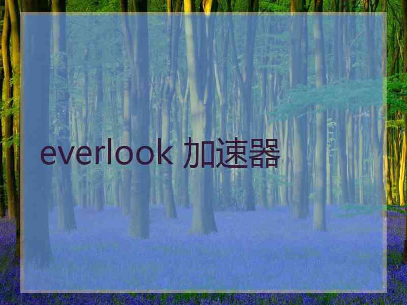 everlook 加速器