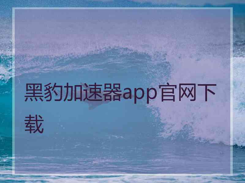 黑豹加速器app官网下载