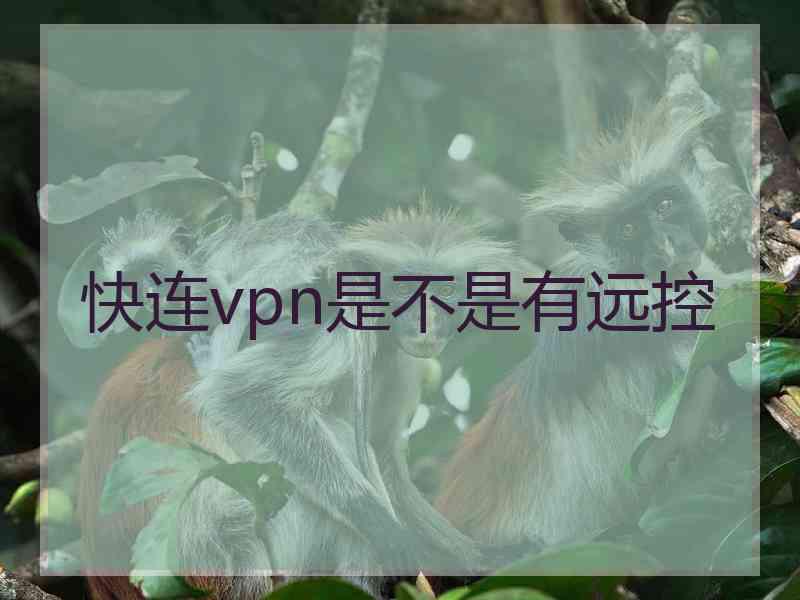 快连vpn是不是有远控