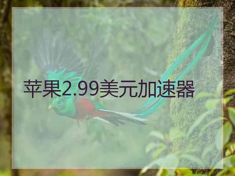 苹果2.99美元加速器