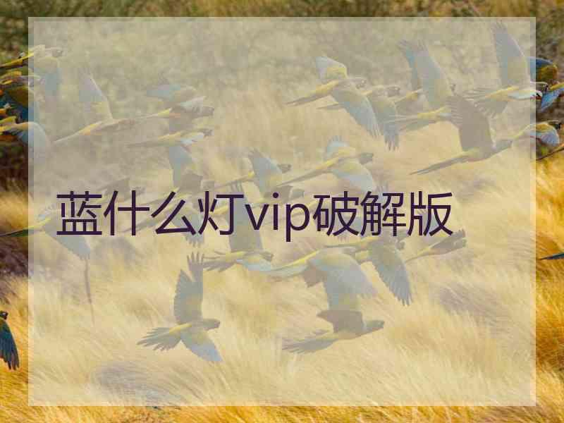 蓝什么灯vip破解版