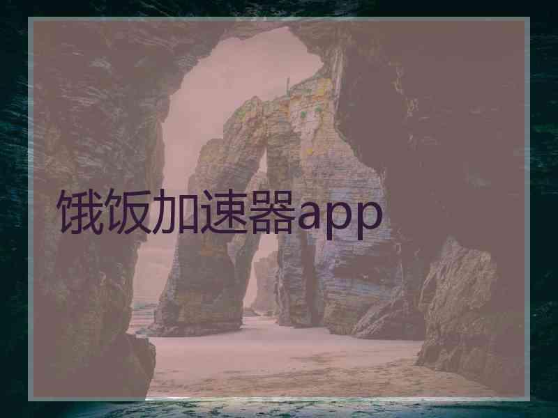 饿饭加速器app