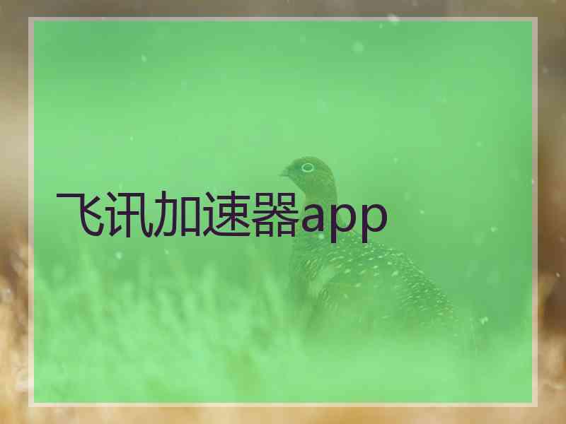 飞讯加速器app