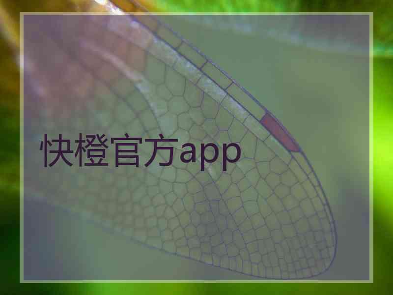 快橙官方app