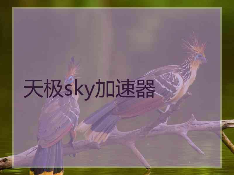 天极sky加速器