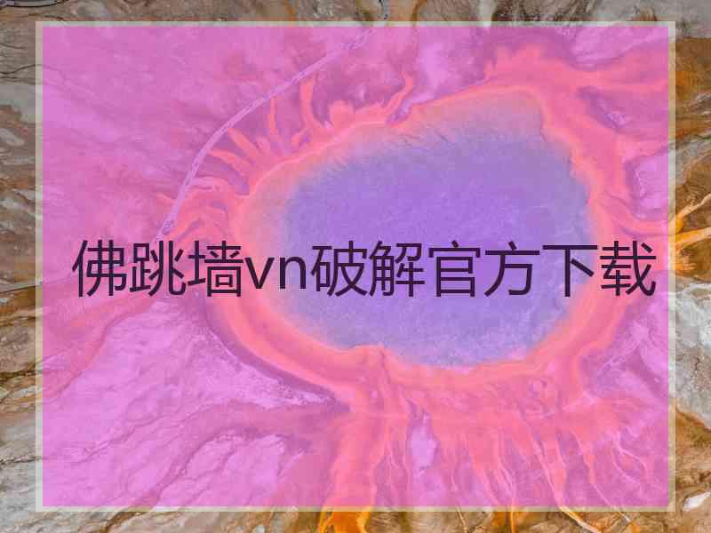 佛跳墙vn破解官方下载