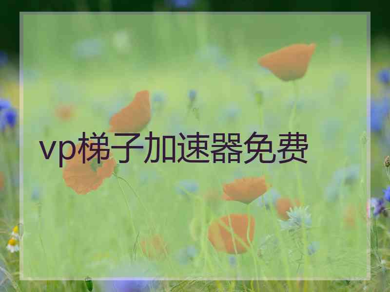 vp梯子加速器免费