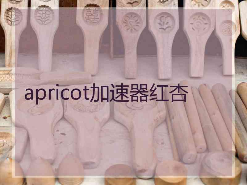 apricot加速器红杏