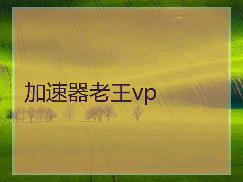 加速器老王vp