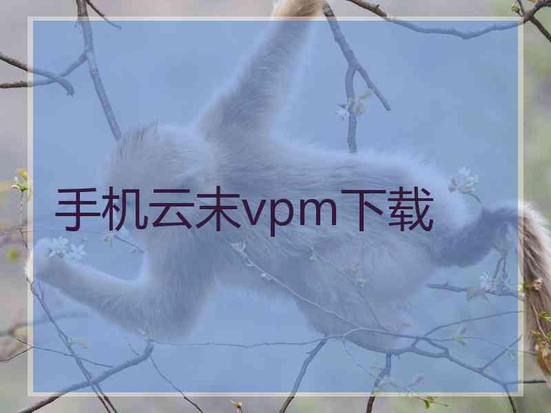 手机云末vpm下载